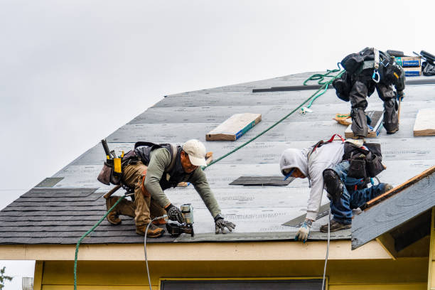 Professional Roofing technician working in Paul, ID